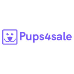 Akita puppies for sale